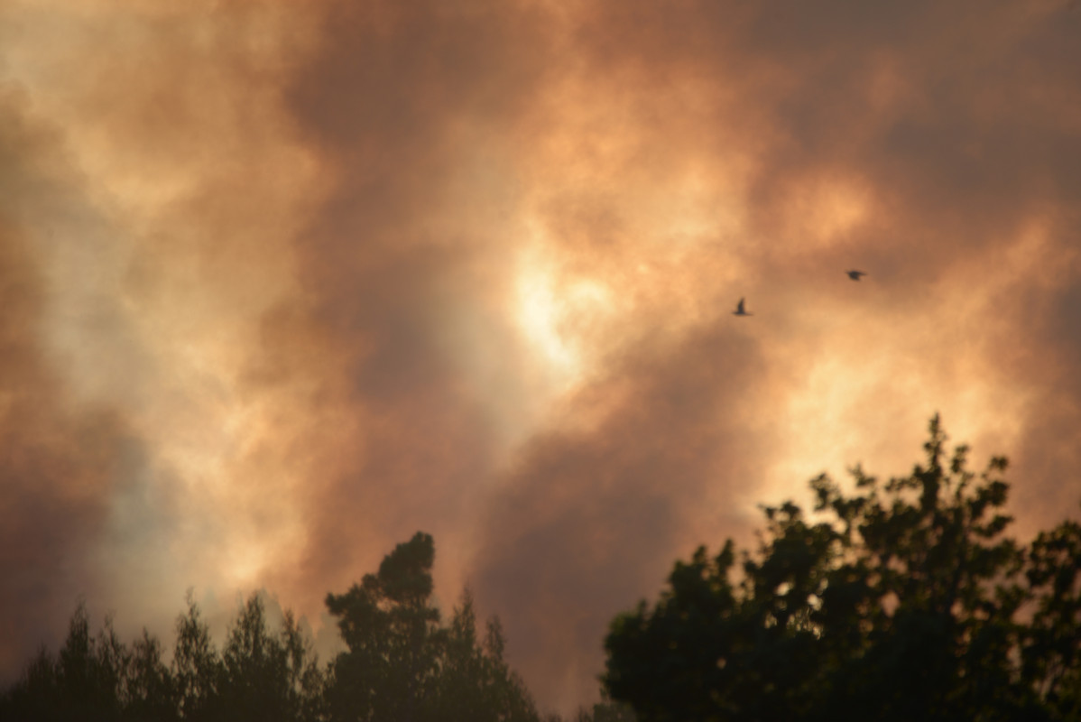 Humo provocado por un incendio forestal en la parroquia de Belesar, a 6 de agosto de 2023, en Vilalba, Lugo, Galicia (España). Varios medios de extinción, terrestres y aéreos, fueron movilizados en